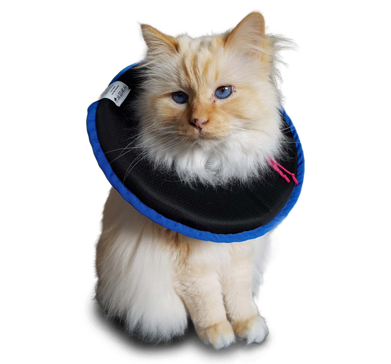Verwunderlich Halskragen Katze Fressnapf Fotos