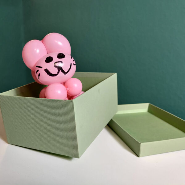 Ballon Überraschung für Katzen