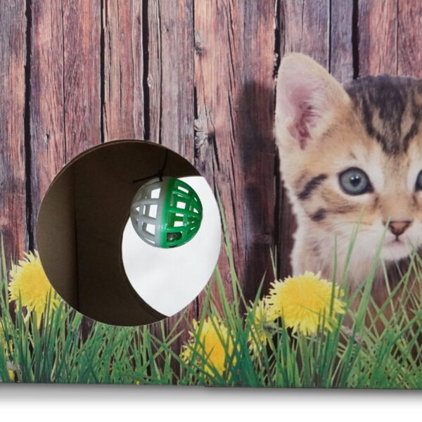 Kratzbrett Versteck für Katzen