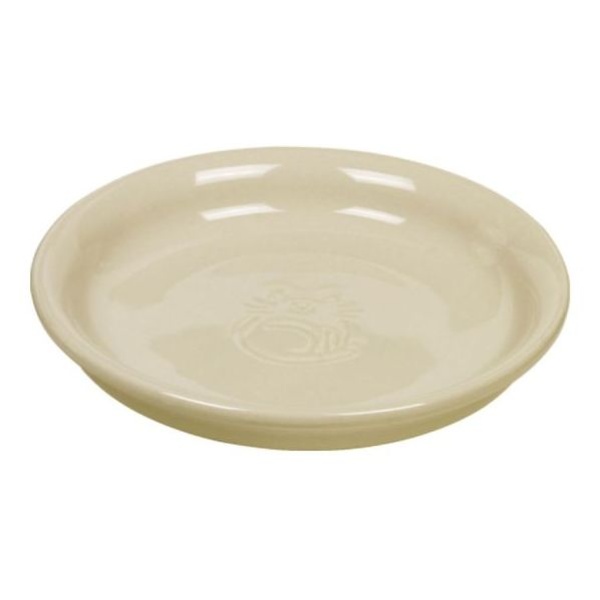 Schale Flach für Katzen