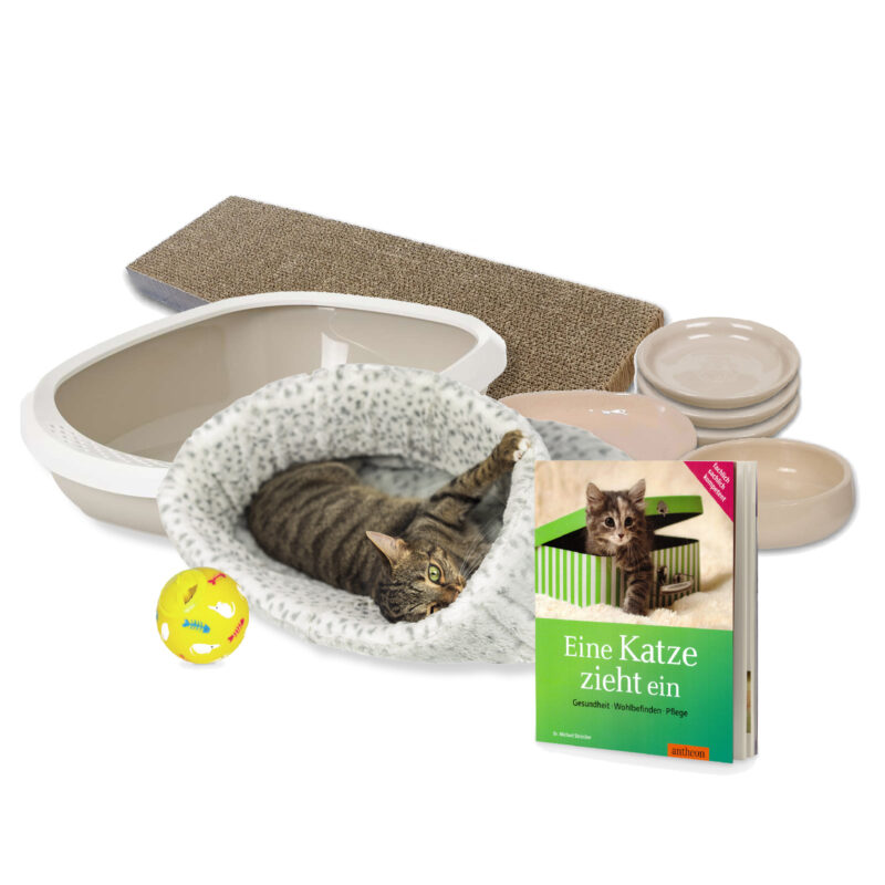 Starter-Paket "Neue Katze Essentials"