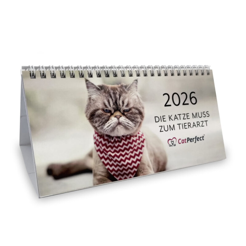 Klapp-Kalender 2026: Die Katze muss zum Tierarzt